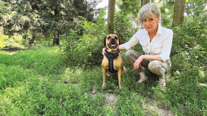 Long grass, weeds dominate Chatham dog park