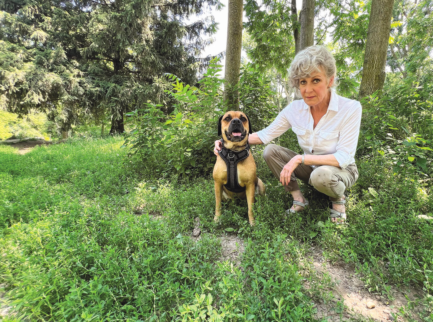 Long grass, weeds dominate Chatham dog park