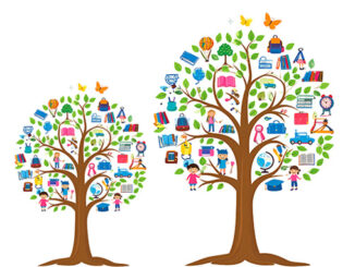 LKDSB Sponsors ‘Learning Tree’ for Merry Magic CK Fundraiser Supporting Local Students